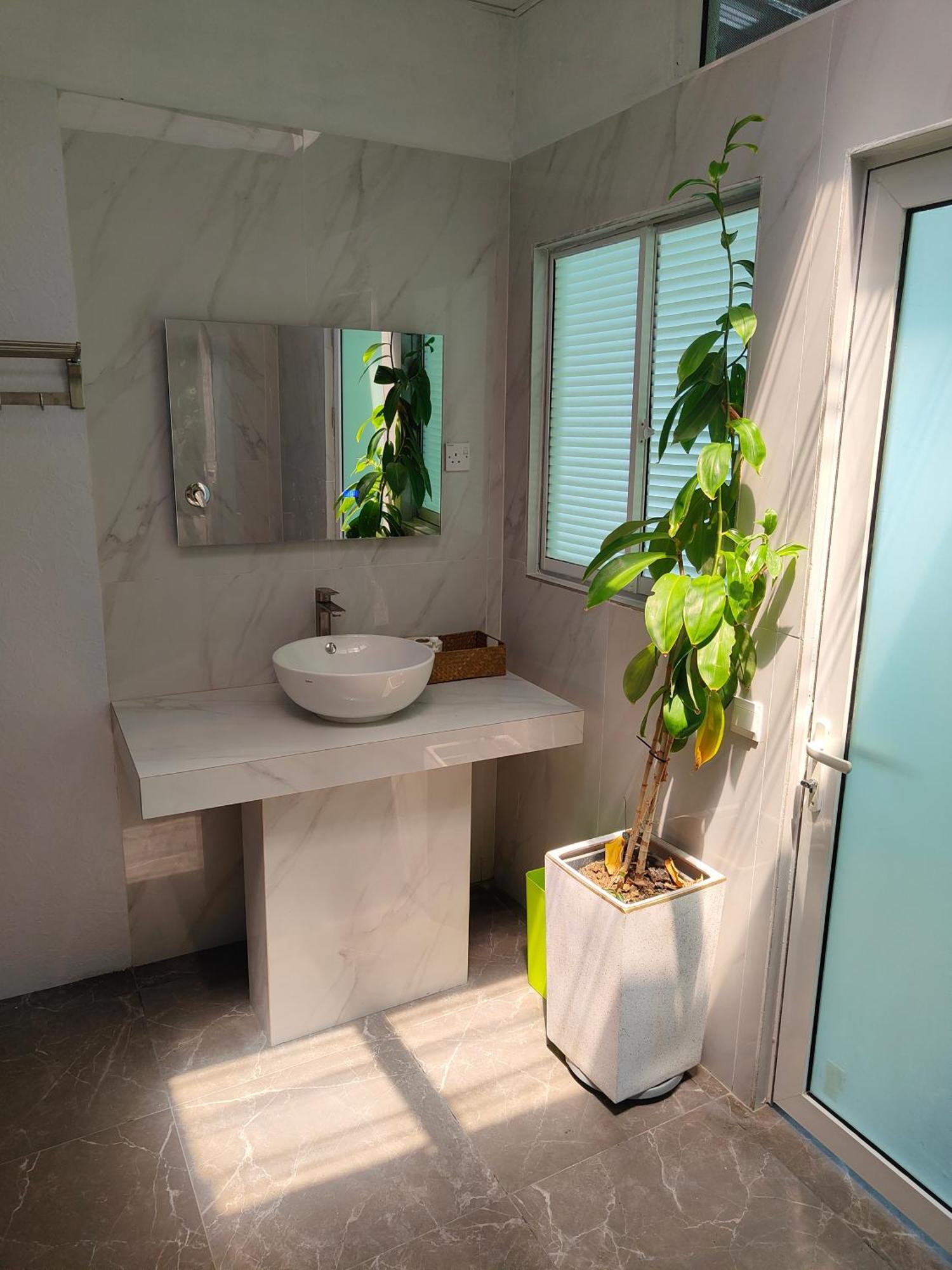 Greenhouse Ecolodge 만타나니섬 객실 사진