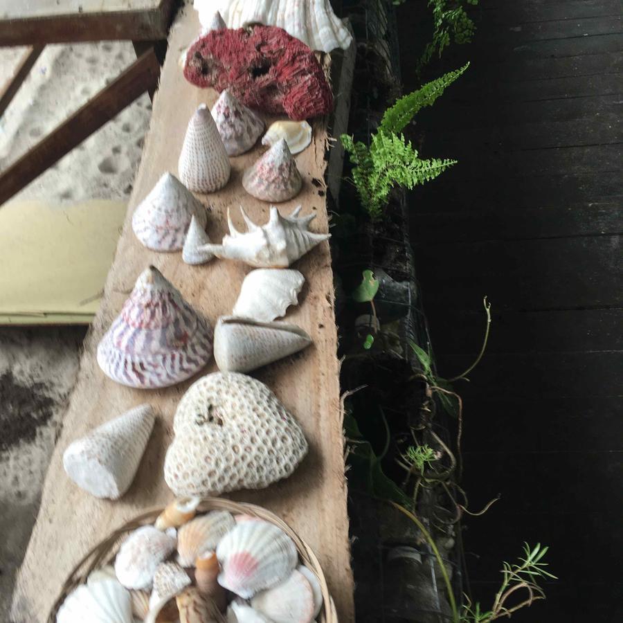 Greenhouse Ecolodge 만타나니섬 외부 사진